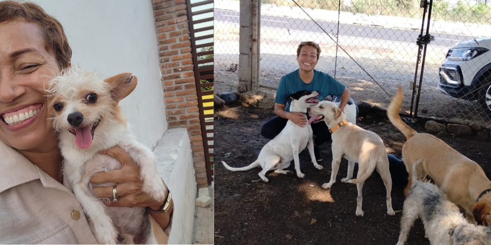 yesenia montiel with dogs she rescued in mexico (1)